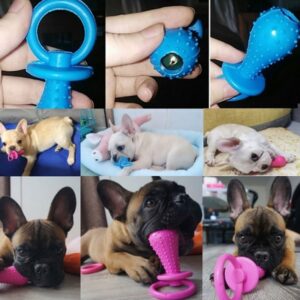 1PCS-Pet-Toys-for-Small-Dogs-Rubber-Resistance-To-Bite-Dog-Toy-Teeth-Cleaning-Chew-Training-2