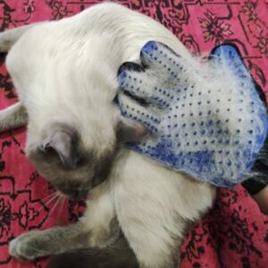 Dog-Cat-Pet-Combs-Grooming-Deshedding-Brush-Gloves-Effective-Cleaning-Back-Massage-Animal-Bathing-Hair-Removal-5