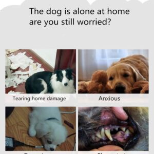 H7c95f7c148224da2815270ccfe901a11z