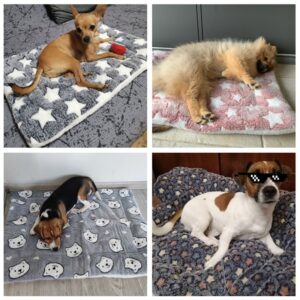 Soft-Flannel-Thickened-Pet-Soft-Fleece-Pad-Pet-Blanket-Bed-Mat-For-Puppy-Dog-Cat-Sofa-2